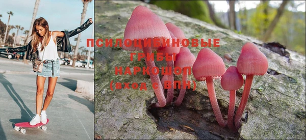 дурь Арсеньев