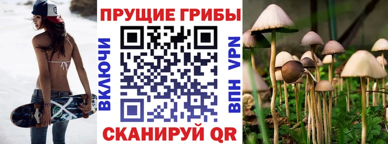 Псилоцибиновые грибы Magic Shrooms где купить наркоту Белая Холуница